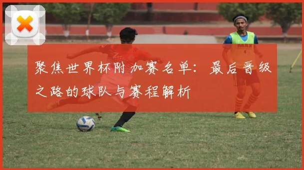 聚焦世界杯附加赛名单：最后晋级之路的球队与赛程解析