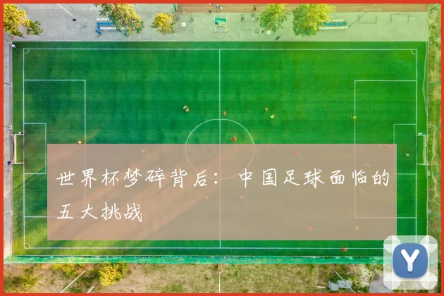 世界杯梦碎背后:中国足球面临的五大挑战