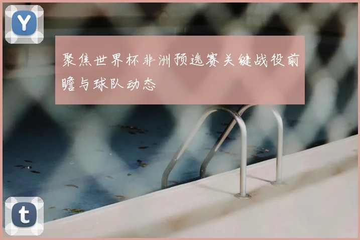 聚焦世界杯非洲预选赛关键战役前瞻与球队动态