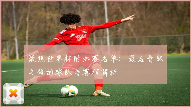 聚焦世界杯附加赛名单：最后晋级之路的球队与赛程解析