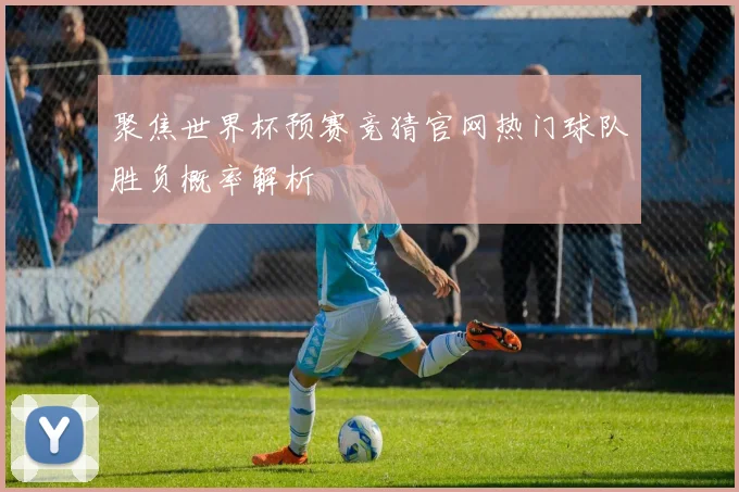 聚焦世界杯预赛竞猜官网热门球队胜负概率解析