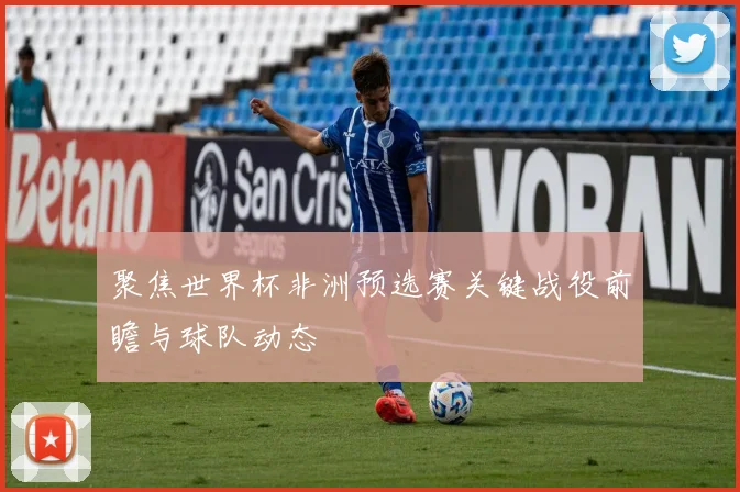 聚焦世界杯非洲预选赛关键战役前瞻与球队动态