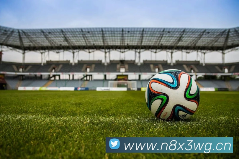 星空体育体育登录入口发展历程